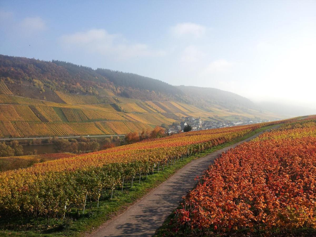 Weingut-Brennerei-Gaestehaus Emil Dauns Reil Εξωτερικό φωτογραφία