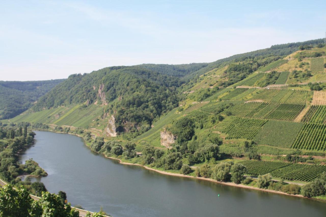 Weingut-Brennerei-Gaestehaus Emil Dauns Reil Εξωτερικό φωτογραφία