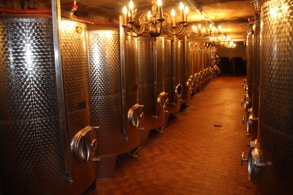 Weingut-Brennerei-Gaestehaus Emil Dauns Reil Εξωτερικό φωτογραφία