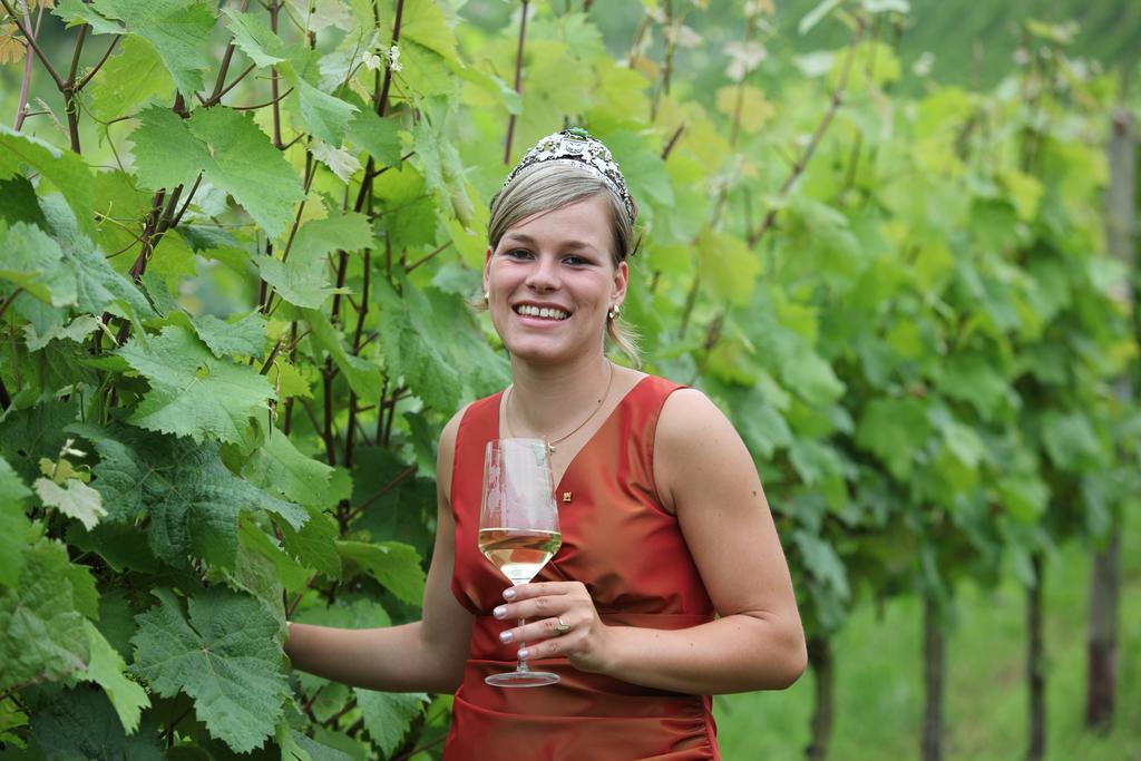 Weingut-Brennerei-Gaestehaus Emil Dauns Reil Εξωτερικό φωτογραφία