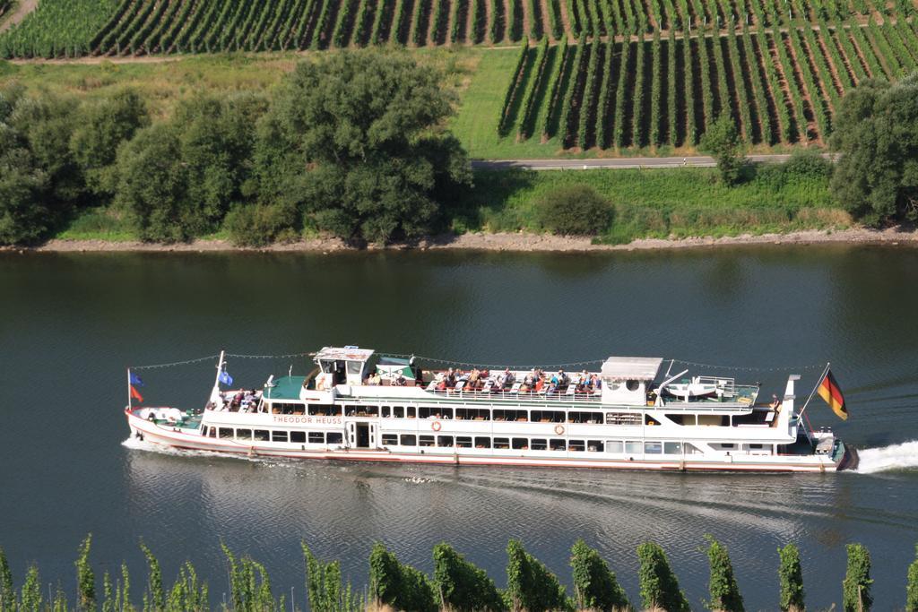 Weingut-Brennerei-Gaestehaus Emil Dauns Reil Εξωτερικό φωτογραφία