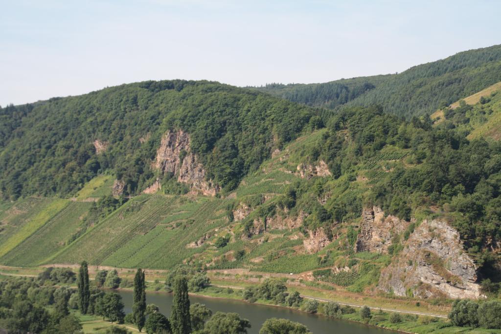 Weingut-Brennerei-Gaestehaus Emil Dauns Reil Εξωτερικό φωτογραφία