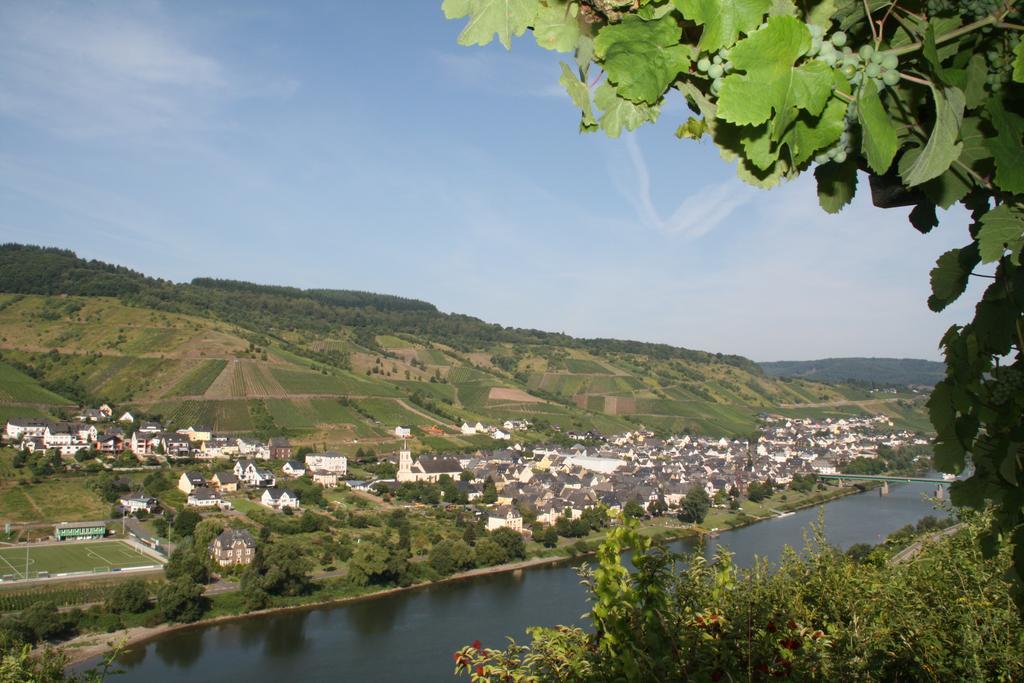 Weingut-Brennerei-Gaestehaus Emil Dauns Reil Εξωτερικό φωτογραφία