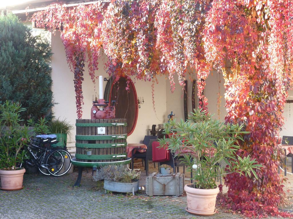 Weingut-Brennerei-Gaestehaus Emil Dauns Reil Εξωτερικό φωτογραφία