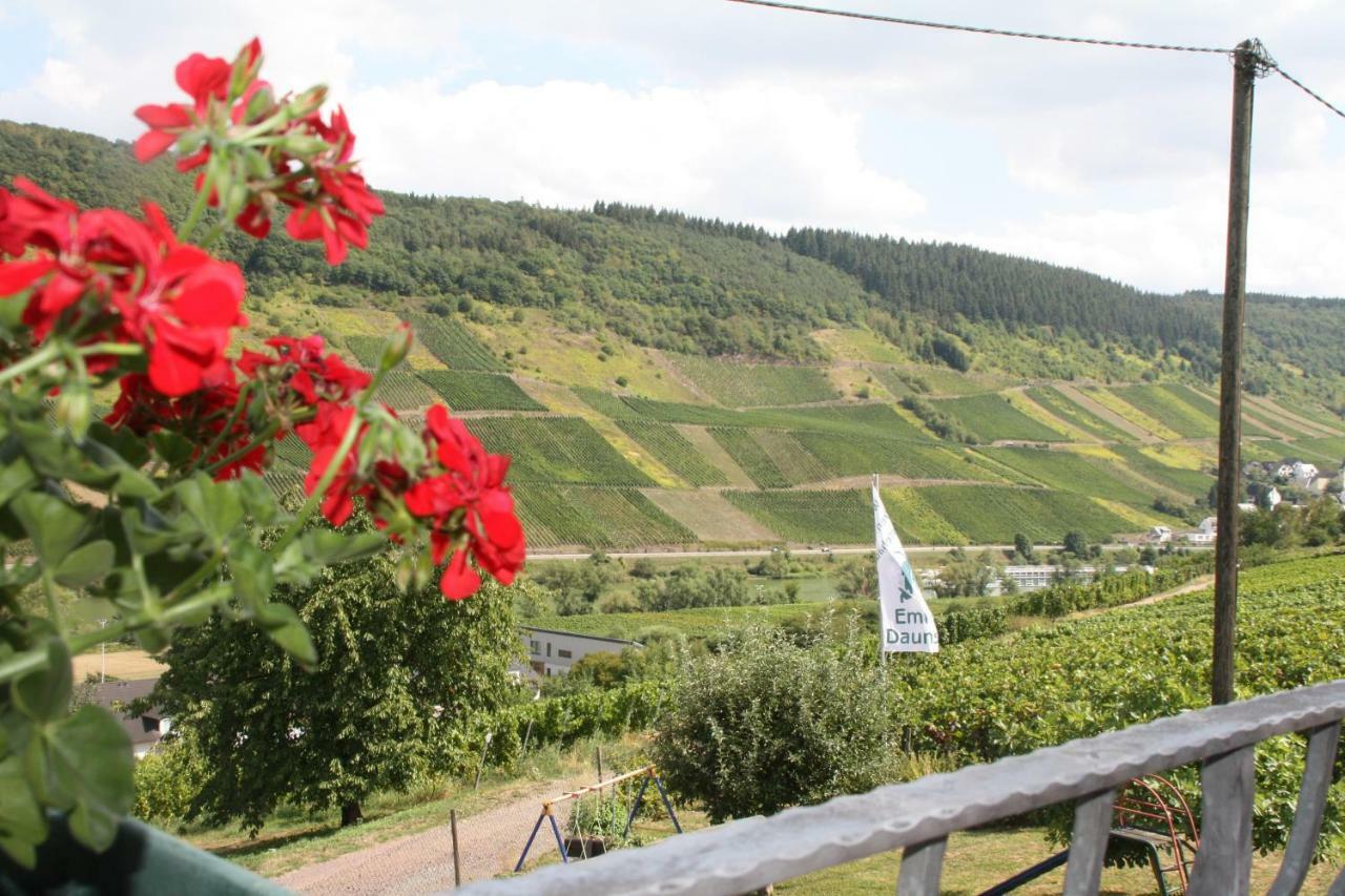 Weingut-Brennerei-Gaestehaus Emil Dauns Reil Εξωτερικό φωτογραφία