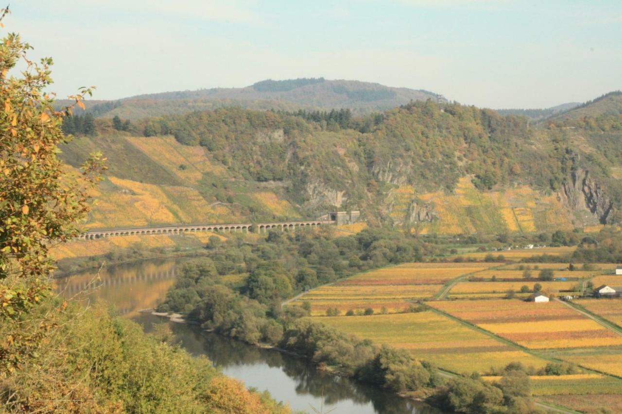 Weingut-Brennerei-Gaestehaus Emil Dauns Reil Εξωτερικό φωτογραφία